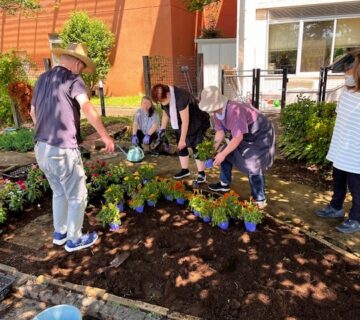 植える配置をみんなで考えながら決めていきます。